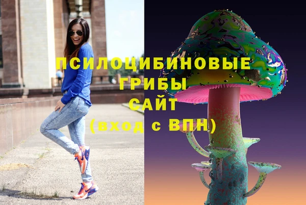 прущие грибы Аркадак