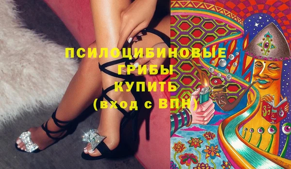 прущие грибы Аркадак