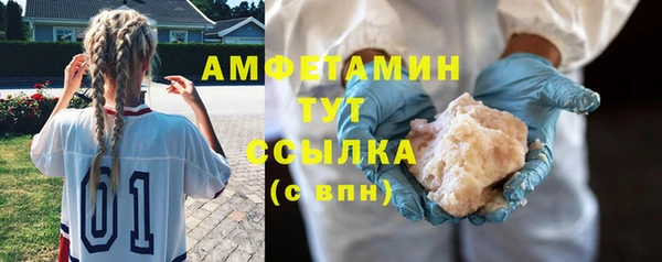 прущие грибы Аркадак