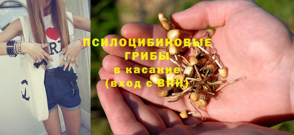 a pvp Зеленокумск